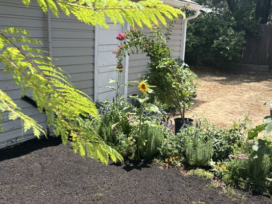 Fresh plantings and mulch in a customer's backyard garden